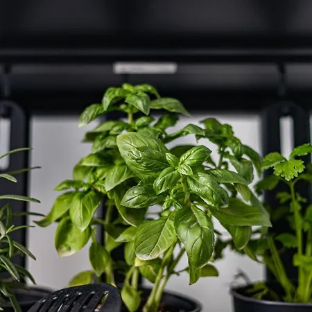 Apartment Your Happy Place Private Parking *